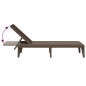 vidaXL Sonnenliege Braun 186x60x29 cm PP vidaXL Sonnenliege Braun 186x60x29 cm PP