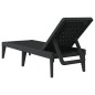 vidaXL Sonnenliege Anthrazit 186x60x29 cm PP vidaXL Sonnenliege Anthrazit 186x60x29 cm PP