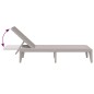 vidaXL Sonnenliege Cappuccino-Braun 186x60x29 cm PP vidaXL Sonnenliege Cappuccino-Braun 186x60x29 cm PP