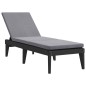 vidaXL Sonnenliege mit Auflage Anthrazit 186x60x29 cm PP vidaXL Sonnenliege mit Auflage Anthrazit 186x60x29 cm PP