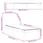 vidaXL Sonnenliege mit Auflage Anthrazit 186x60x29 cm PP vidaXL Sonnenliege mit Auflage Anthrazit 186x60x29 cm PP