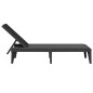 vidaXL Sonnenliege Anthrazit 186x60x29 cm PP vidaXL Sonnenliege Anthrazit 186x60x29 cm PP