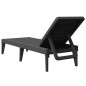 vidaXL Sonnenliege Anthrazit 186x60x29 cm PP vidaXL Sonnenliege Anthrazit 186x60x29 cm PP