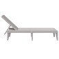 vidaXL Sonnenliege Grau 186x60x29 cm PP vidaXL Sonnenliege Grau 186x60x29 cm PP