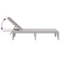 vidaXL Sonnenliege Grau 186x60x29 cm PP vidaXL Sonnenliege Grau 186x60x29 cm PP