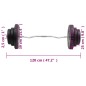 vidaXL Curlstange mit Gewichten 60 kg vidaXL Curlstange mit Gewichten 60 kg