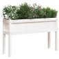 vidaXL Pflanzkübel 2 Stk. mit Beinen Weiß Massivholz Kiefer vidaXL Pflanzkübel 2 Stk. mit Beinen Weiß Massivholz Kiefer