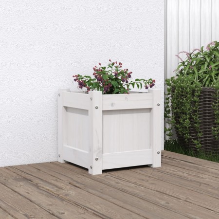 vidaXL Pflanzkübel Weiß 31x31x31 cm Massivholz Kiefer
