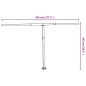 vidaXL Stützen für Markisen Anthrazit 450x245 cm Eisen vidaXL Stützen für Markisen Anthrazit 450x245 cm Eisen