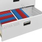 vidaXL Aktenschrank Hellgrau 90x46x134 cm Stahl