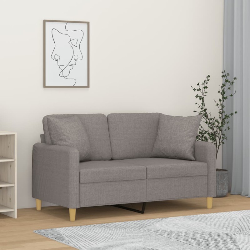 vidaXL 2-Sitzer-Sofa mit Zierkissen Hellgrau 120 cm Stoff vidaXL 2-Sitzer-Sofa mit Zierkissen Hellgrau 120 cm Stoff