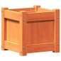 vidaXL Pflanzkübel 2 Stk. Wachsbraun Massivholz Kiefer vidaXL Pflanzkübel 2 Stk. Wachsbraun Massivholz Kiefer