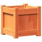 vidaXL Pflanzkübel 2 Stk. Wachsbraun Massivholz Kiefer vidaXL Pflanzkübel 2 Stk. Wachsbraun Massivholz Kiefer