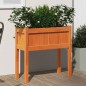 vidaXL Pflanzkübel mit Beinen Wachsbraun 70x31x70 cm Massivholz Kiefer vidaXL Pflanzkübel mit Beinen Wachsbraun 70x31x70 cm Massivholz Kiefer