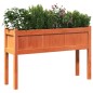 vidaXL Pflanzkübel mit Beinen Wachsbraun 110x31x70cm Massivholz Kiefer vidaXL Pflanzkübel mit Beinen Wachsbraun 110x31x70cm Massivholz Kiefer