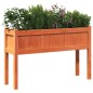 vidaXL Pflanzkübel mit Beinen 2 Stk. Wachsbraun Massivholz Kiefer vidaXL Pflanzkübel mit Beinen 2 Stk. Wachsbraun Massivholz Kiefer