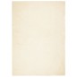 vidaXL Teppich HUARTE Kurzflor Weich und Waschbar Creme 140x200 cm vidaXL Teppich HUARTE Kurzflor Weich und Waschbar Creme 140x200 cm