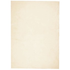 vidaXL Teppich HUARTE Kurzflor Weich und Waschbar Creme 240x340 cm
