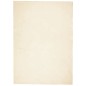 vidaXL Teppich HUARTE Kurzflor Weich und Waschbar Creme 240x340 cm vidaXL Teppich HUARTE Kurzflor Weich und Waschbar Creme 240x340 cm