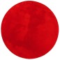 vidaXL Teppich HUARTE Kurzflor Weich und Waschbar Rot Ø 100 cm vidaXL Teppich HUARTE Kurzflor Weich und Waschbar Rot Ø 100 cm