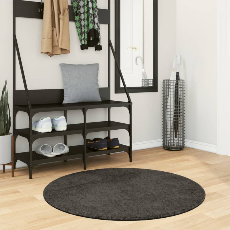 vidaXL Teppich ISTAN Hochflor Glänzend Anthrazit Ø 100 cm vidaXL Teppich ISTAN Hochflor Glänzend Anthrazit Ø 100 cm