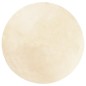 vidaXL Teppich HUARTE Kurzflor Weich und Waschbar Creme Ø 160 cm vidaXL Teppich HUARTE Kurzflor Weich und Waschbar Creme Ø 160 cm