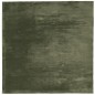 vidaXL Teppich HUARTE Kurzflor Weich und Waschbar Waldgrün 120x120 cm vidaXL Teppich HUARTE Kurzflor Weich und Waschbar Waldgrün 120x120 cm