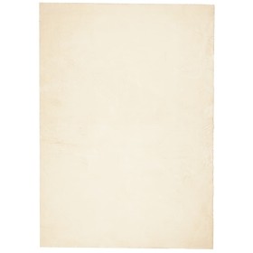 vidaXL Teppich HUARTE Kurzflor Weich und Waschbar Creme 200x280 cm