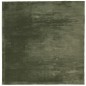 vidaXL Teppich HUARTE Kurzflor Weich und Waschbar Waldgrün 160x160 cm vidaXL Teppich HUARTE Kurzflor Weich und Waschbar Waldgrün 160x160 cm