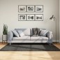 vidaXL Teppich ISTAN Hochflor Glänzend Anthrazit 120x170 cm vidaXL Teppich ISTAN Hochflor Glänzend Anthrazit 120x170 cm