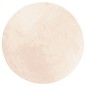 vidaXL Teppich HUARTE Kurzflor Weich und Waschbar Beige Ø 200 cm vidaXL Teppich HUARTE Kurzflor Weich und Waschbar Beige Ø 200 cm