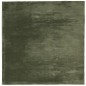 vidaXL Teppich HUARTE Kurzflor Weich und Waschbar Waldgrün 240x240 cm vidaXL Teppich HUARTE Kurzflor Weich und Waschbar Waldgrün 240x240 cm