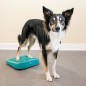 FitPAWS Balance-Rampe für Hautiere 35x35x7 cm Blau FitPAWS Balance-Rampe für Hautiere 35x35x7 cm Blau