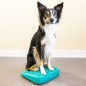 FitPAWS Balance-Rampe für Hautiere 35x35x7 cm Blau FitPAWS Balance-Rampe für Hautiere 35x35x7 cm Blau