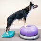 FitPAWS Balance-Rampe für Hautiere 35x35x7 cm Blau FitPAWS Balance-Rampe für Hautiere 35x35x7 cm Blau