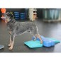 FitPAWS Balance-Rampe für Hautiere 35x35x7 cm Blau FitPAWS Balance-Rampe für Hautiere 35x35x7 cm Blau