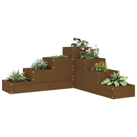 vidaXL Pflanzentreppe 4 Stufen 80,5x79x36 cm Honigbraun Massivholz
