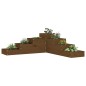 vidaXL Pflanzentreppe 4 Stufen 106x104,5x36 cm Honigbraun Massivholz vidaXL Pflanzentreppe 4 Stufen 106x104,5x36 cm Honigbraun Massivholz