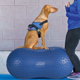 FitPAWS Haustier-Balance-Plattform Trax Peanut 60 cm Blau 