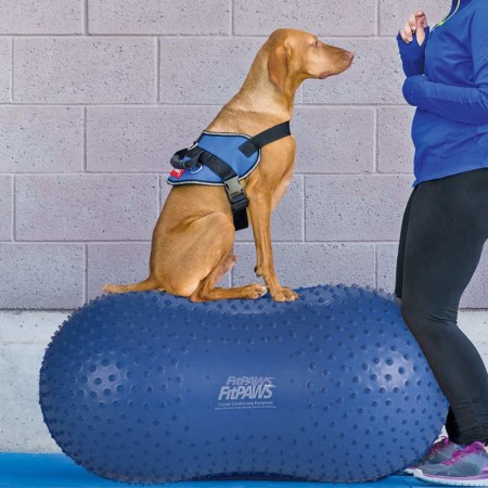 FitPAWS Haustier-Balance-Plattform Trax Peanut 60 cm Blau 