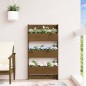 vidaXL Wand-Pflanzkübel mit 3 Fächern 60x18,5x110 cm Honigbraun Holz vidaXL Wand-Pflanzkübel mit 3 Fächern 60x18,5x110 cm Honigbraun Holz