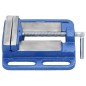 vidaXL Maschinenschraubstock Blau 100 mm Gusseisen vidaXL Maschinenschraubstock Blau 100 mm Gusseisen