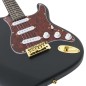 vidaXL E-Gitarre für Anfänger mit Tasche Schwarz und Gold 4/4 39" vidaXL E-Gitarre für Anfänger mit Tasche Schwarz und Gold 4/4 39"