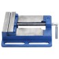 vidaXL Maschinenschraubstock Blau 121 mm Gusseisen vidaXL Maschinenschraubstock Blau 121 mm Gusseisen