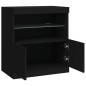 vidaXL Sideboard mit LED-Leuchten Schwarz 60x37x67 cm vidaXL Sideboard mit LED-Leuchten Schwarz 60x37x67 cm