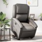 vidaXL Relaxsessel mit Aufstehhilfe Grau Echtleder vidaXL Relaxsessel mit Aufstehhilfe Grau Echtleder