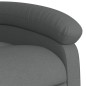 vidaXL Relaxsessel mit Aufstehhilfe Elektrisch Dunkelgrau Stoff vidaXL Relaxsessel mit Aufstehhilfe Elektrisch Dunkelgrau Stoff