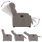 vidaXL Relaxsessel mit Aufstehhilfe Elektrisch Taupe Stoff vidaXL Relaxsessel mit Aufstehhilfe Elektrisch Taupe Stoff