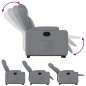 vidaXL Relaxsessel mit Aufstehhilfe Hellgrau Stoff vidaXL Relaxsessel mit Aufstehhilfe Hellgrau Stoff