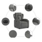 vidaXL Relaxsessel mit Aufstehhilfe Elektrisch Dunkelgrau Stoff vidaXL Relaxsessel mit Aufstehhilfe Elektrisch Dunkelgrau Stoff